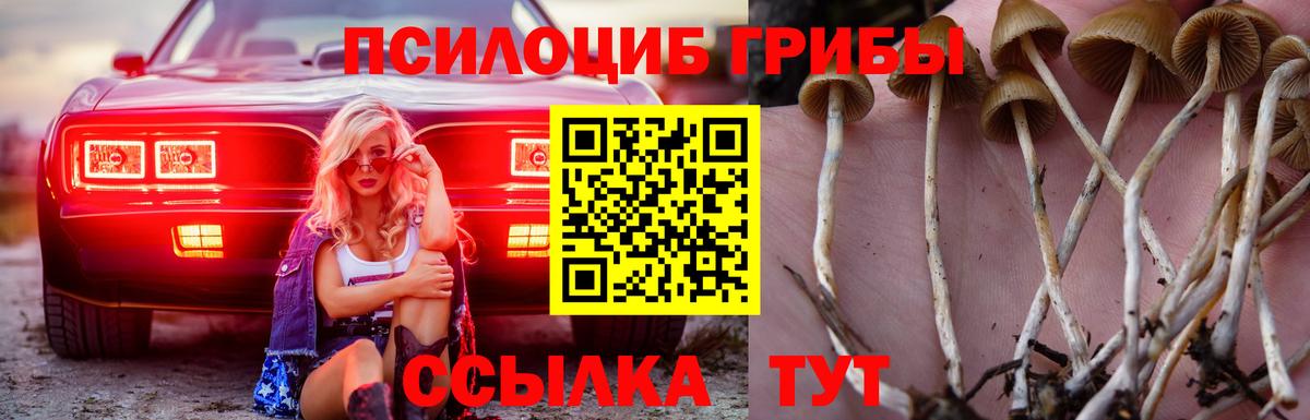 Псилоцибиновые грибы мицелий Салехард